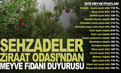 Şehzadeler Ziraat Odası’ndan Meyve Fidanı Duyurusu