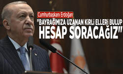 Cumhurbaşkanı Erdoğan: "Bayrağımıza uzanan kirli elleri bulup, hesap soracağız"