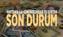 Haftanın ilk gününde dolar ve euroda son durum