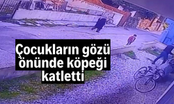 Çocukların gözü önünde köpeği katletti