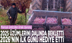Manisalı üreticiden örnek davranış: 2025 üzümlerini dalında bekletti, 2026’nın ilk günü hediye etti