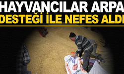 Hayvancılara nefes aldıran arpa desteği