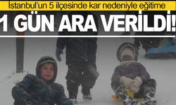 5 ilçede daha eğitime ara verildi