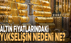 Altın fiyatlarındaki yükselişin nedeni ne?