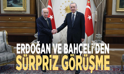 Erdoğan ve Bahçeli'den sürpriz görüşme