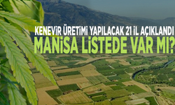 Kenevir üretimi yapılacak 21 il açıklandı... Manisa listede var mı?