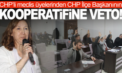 CHP’li meclis üyelerinden CHP İlçe Başkanının kooperatifine veto