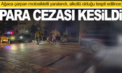 Ağaca çarpan motosikletli yaralandı, alkollü olduğu tespit edilince para cezası kesildi