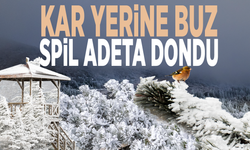 Kar yerine buz...  Spil adeta dondu