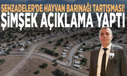 Şehzadeler’de hayvan barınağı tartışması! Şimşek açıklama yaptı