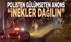 Polisten gülümseten anons: “İnekler dağılın”