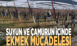 Suyun ve çamurun içinde ekmek mücadelesi