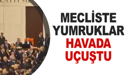 Meclis'te yemin kavgası: Yumruklar havada uçuştu