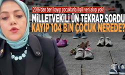 2016'dan beri kayıp çocuklarla ilgili veri akışı yok! Milletvekili Ün tekrar sordu: Kayıp 104 bin çocuk nerede?