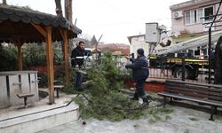 Şehzadeler’de dayanışma.. Budanan dallar ocakları ısıtıyor