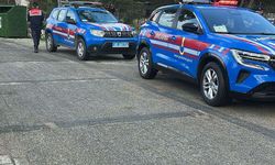 Bodrum'da iki köpeğin silahla vurulduğu iddiası