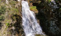 Yağışların ardından Sancaklı Şelalesi coştu