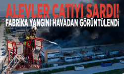 Alevler çatıyı sardı! Fabrika yangını havadan görüntülendi