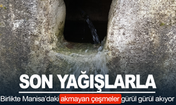 Manisa'da son yağışlarla birlikte akmayan çeşmeler gürül gürül akıyor