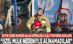 Suyun içinde mahsur kalan köpeklerle ilgili itfaiyeden açıklama: Özel mülk nedeniyle alınamadılar
