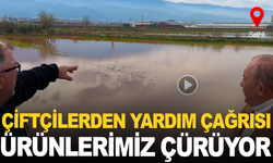 Manisa'da Selin Bilançosu Ağır: Mevsimlik ürünlerde zarar büyük!