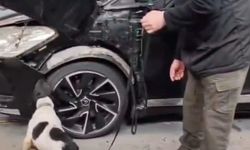 Otomobilin ön tamponunda 11 kilogram eroin ele geçirildi