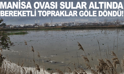 MANİSA OVASI SULAR ALTINDA: BEREKETLİ TOPRAKLAR GÖLE DÖNDÜ!