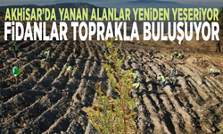 Akhisar’da yanan alanlar yeniden yeşeriyor, fidanlar toprakla buluşuyor