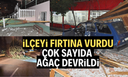 İlçeyi fırtına vurdu: Minarenin külahı koptu, çok sayıda ağaç devrildi
