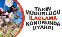 Salihli’de Sert Çekirdekli Meyveler İçin Monilya Uyarısı