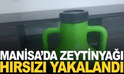 Manisa’da zeytinyağı hırsızı yakalandı