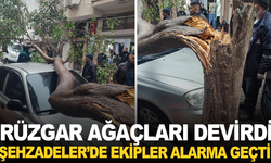 Manisa’da fırtına etkili oldu: Tehlike oluşturan ağaçlara müdahale