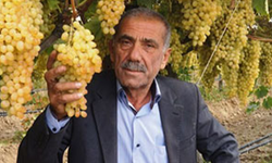 Ziraat Odası Başkanından dayıbaşlarına sert tepki