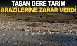 Ziyanlar’da dere taştı, tarım arazileri zarar gördü