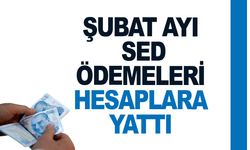Şubat ayı SED ödemeleri hesaplara yatırıldı