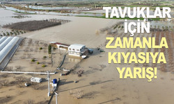 İzmir İtfaiyesi tavuk çiftliğinde mahsur kalan hayvanlar için zamanla yarıştı
