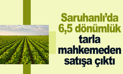 Saruhanlı’da Yatırımlık Fırsat: 6,5 Dönümlük Tarla Mahkemeden Satılık!