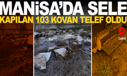 Manisa'da sele kapılan yüzlerce arı telef oldu