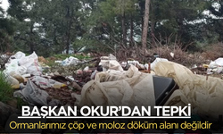 Soma Belediye Başkanı Okur: Ormanlarımız çöp ve moloz döküm alanı değildir