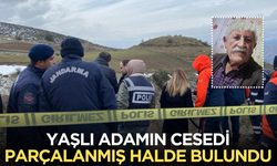 Yaşlı adamın cesedi parçalanmış halde bulundu