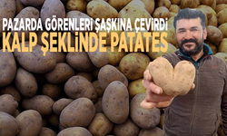 Pazarda görenleri şaşkına çevirdi... Kalp şeklinde patates