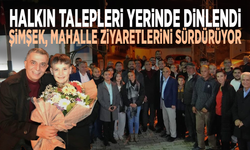 Halkın talepleri yerinde dinlendi: Şimşek, mahalle ziyaretlerini sürdürüyor