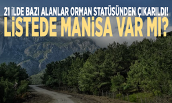 21 ilde bazı alanlar orman statüsünden çıkarıldı! Listede Manisa var mı?