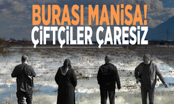 Burası Manisa! Çiftçiler çaresiz