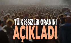 TÜİK işsizlik oranını açıkladı