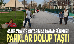 Manisa’da kış ortasında bahar sürprizi! Parklar dolup taştı