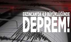Erzincan'da 4,9 büyüklüğünde deprem!