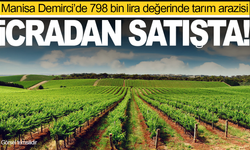 Manisa Demirci’de 798 bin lira değerinde tarım arazisi icradan satışta