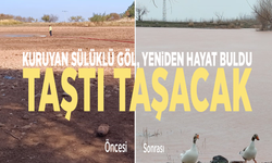 Kuruyan Sülüklü Göl, yeniden hayat buldu: Taştı taşacak
