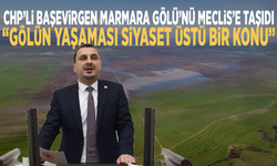 CHP’li Başevirgen Marmara Gölü’nü Meclis’e taşıdı: “Gölün yaşaması siyaset üstü bir konu”
